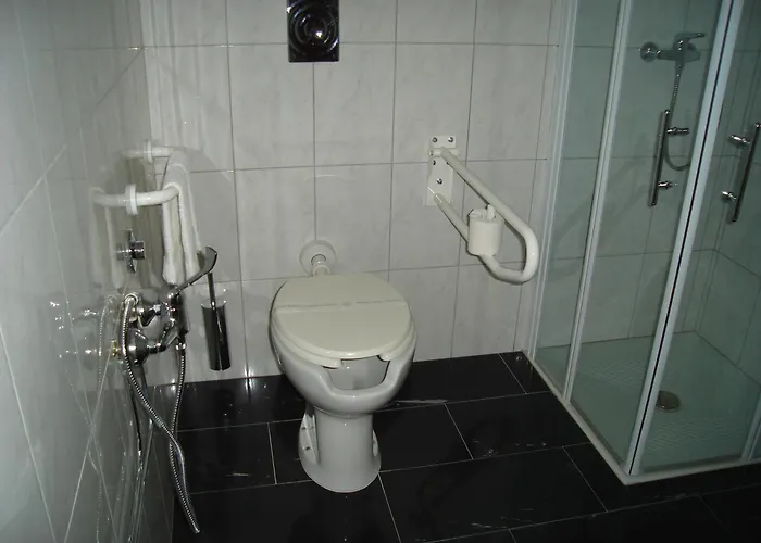 Le Palme מלון 4*